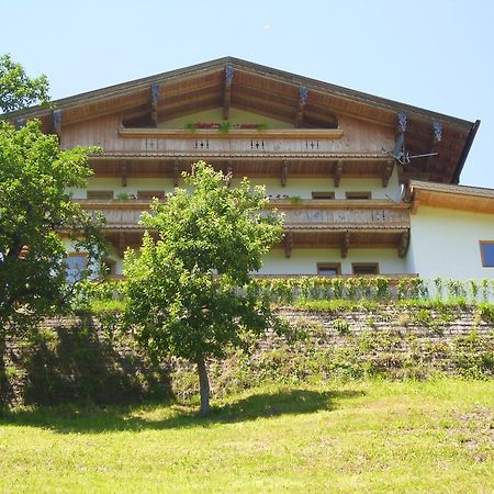 Apartment Kreidl Hippach Δωμάτιο φωτογραφία