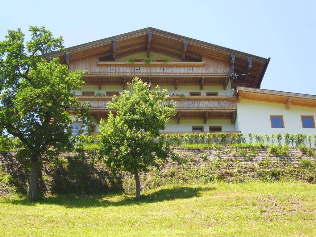 Apartment Kreidl Hippach Δωμάτιο φωτογραφία